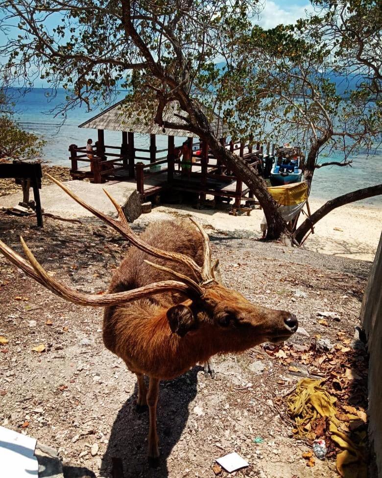 Badini Homestay Pemuteran Esterno foto